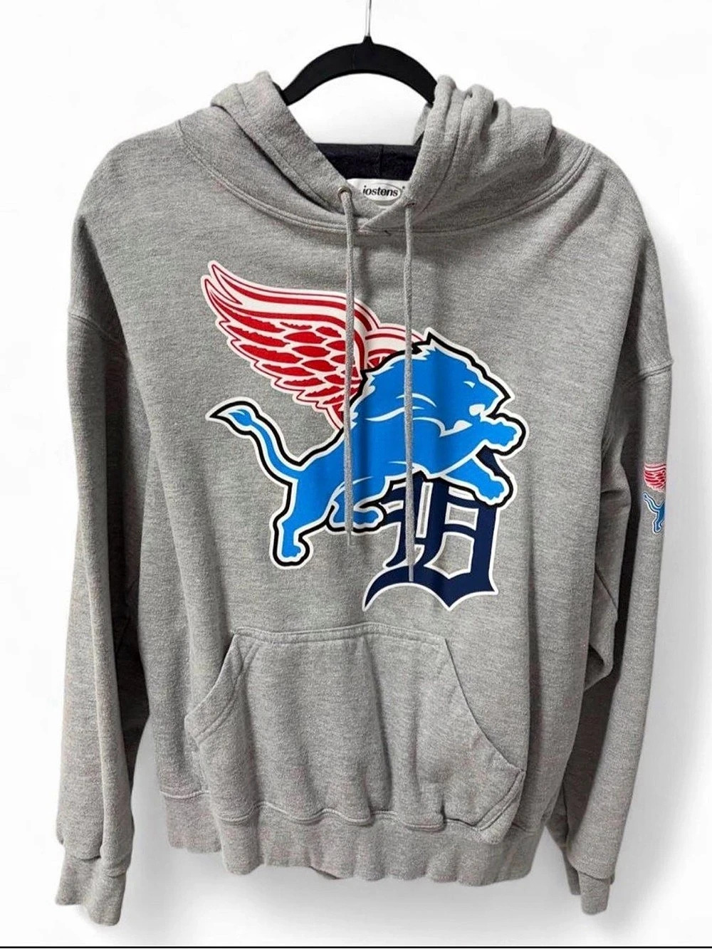 Jostens Detroit Lions hoodie Graphic Hoodie in Gray Size L Like New